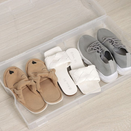 Короб для хранения обуви «Реноме», 61×34×13 см, прозрачный