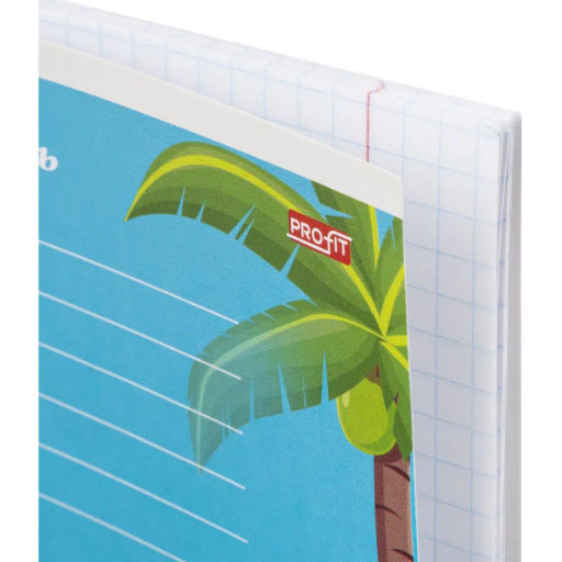 Цена за 2 шт. Тетрадь клетка 12л. Фруктовый отдых, ассорти, 12-4375