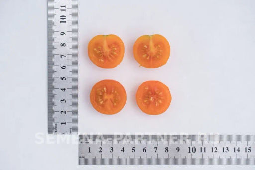 Томат Черри Кирино - Партнер фото 7