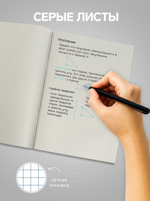 Цена за 4 шт. Тетрадь А4, 48 листов в клетку, Calligrata, серые листы, синий