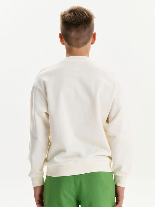 BFN3387/1 Толстовка для мальчиков