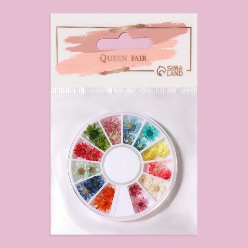 Сухоцветы для декора Ромашки, объёмные, 12 видов, в футляре, разноцветные - Qf фото 5