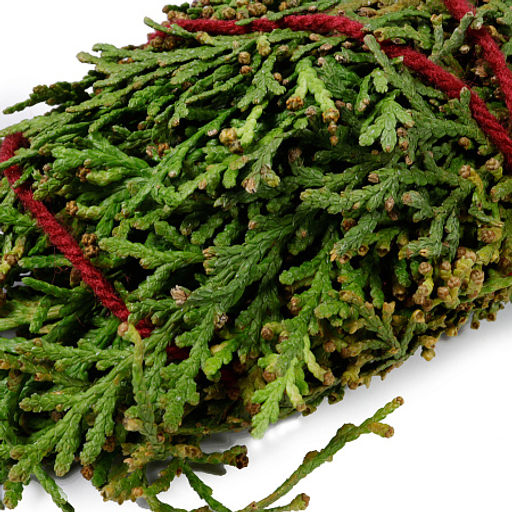 Трава для окуривания Туя кипарисовая 18-20см 30-35гр не пропускает в дом порчу, хранит отношения в семье