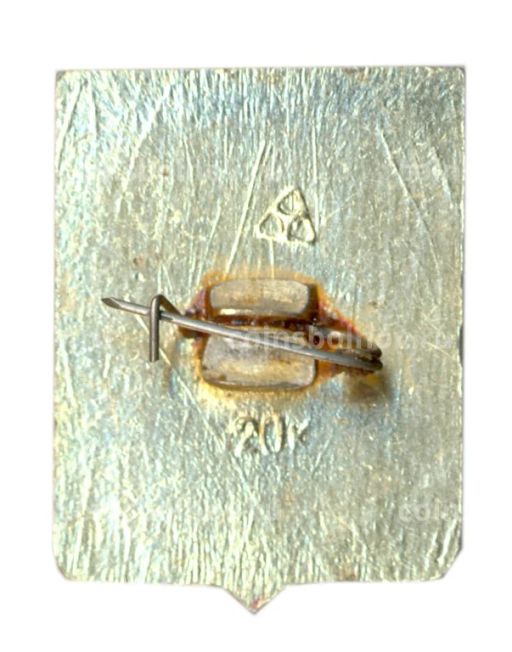 Значок Суздаль