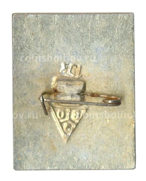 Значок Суздаль