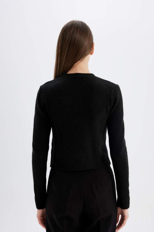 Свитер премиум-класса стандартной посадки с круглым вырезом - Defacto фото 7