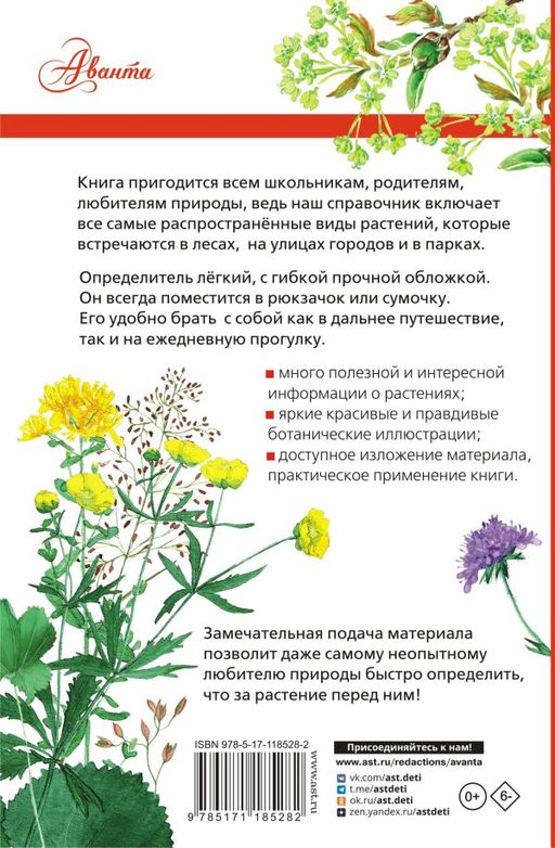Растения России