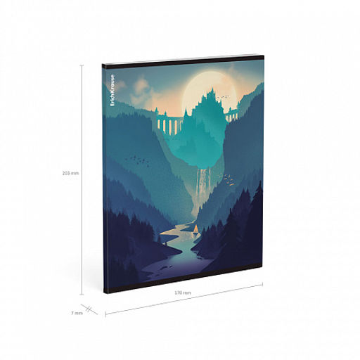 Цена за 5 шт. Тетрадь общая ученическая ErichKrause Silhouette Landscapes, 96 листов, клетка, глянцевая ламинация_MIX-PACK  фото 10