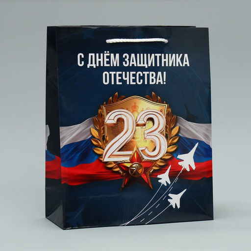 Цена за 2 шт. Пакет подарочный ламинированный, упаковка, «С 23 февраля», ML 21×25×8 см