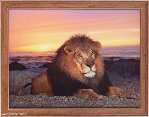 Картина 5D 30х40 190 Властелин / ZR8210H-222411 / - Галеонтрейд фото 2