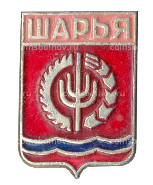 Значок Шарья