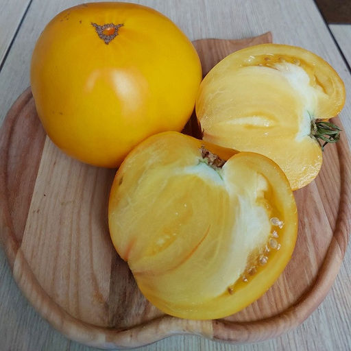 7123T Томат Лунный восторг 10шт