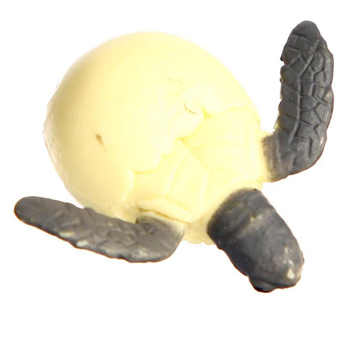 Обучающий набор Этапы развития морской черепашки 4 фигурки - Simaland фото 5