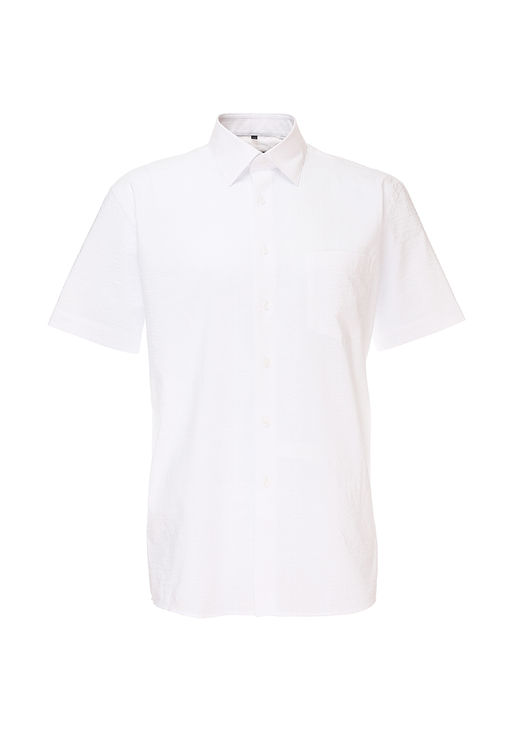 Сорочка мужская короткий рукав GREG Gb111/309/320/Z  фото 2