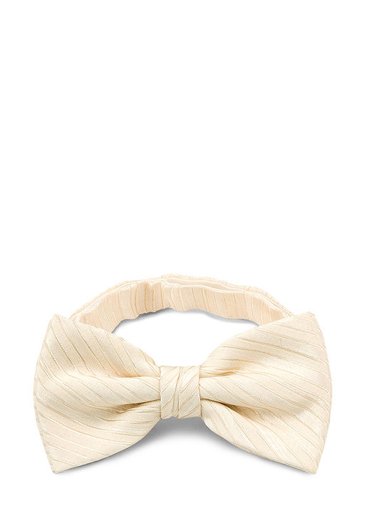 Галстук-бабочка мужской CASINO Casino-poly-wedding 512.1.520