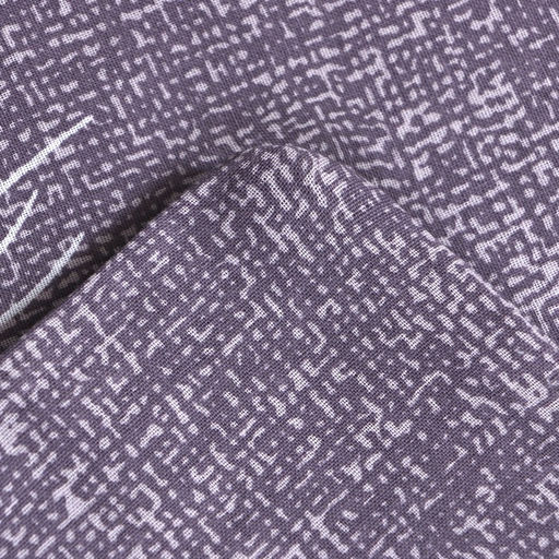 Постельное бельё Этель 2 сп Перья 175х215 см, 200х220 см, 70х70 см-2 шт, 100% хлопок, бязь125 г/м2  фото 4