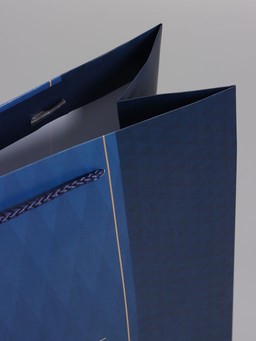 Пакет подарочный ламинированный «Лаконичный комплимент», 26×12×32 см