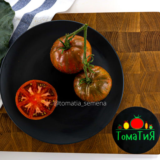 Большой полосатый кабан - Tomatia фото 2