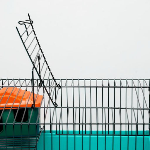 Клетка для грызунов Пижон №4, с этажом, укомплектованная, 37х26х18 см, бирюзовая  фото 5