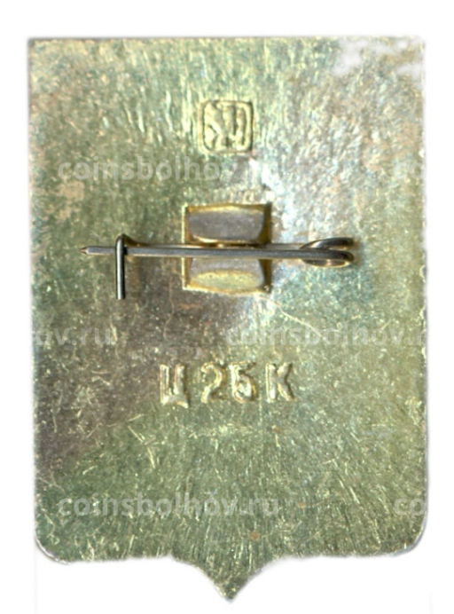 Значок Николаев