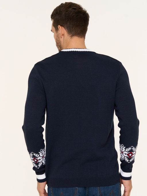 Джемпер мужской 7232-15041 - Vay фото 7