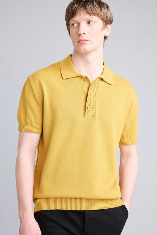 %100 Pamuk Standart F_t Triko Polo Ti__rt
