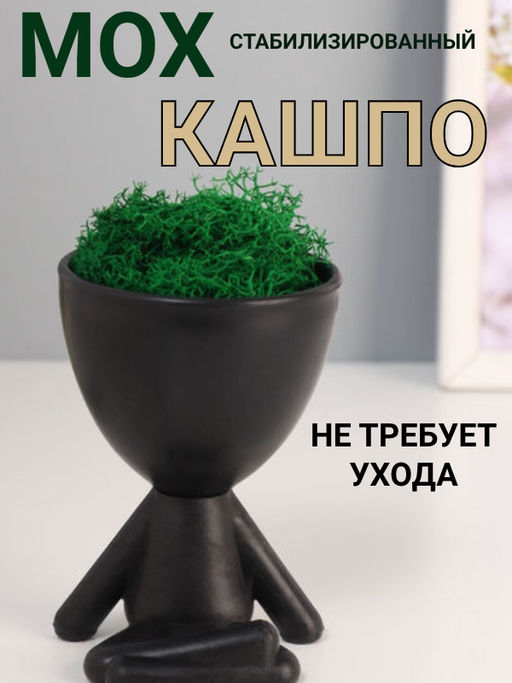 Стабилизированный мох в кашпо пластиковом Мистер Грин йог, 10.57.57.3 см, чёрный