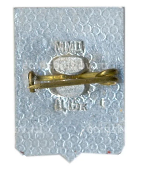 Значок Суздаль