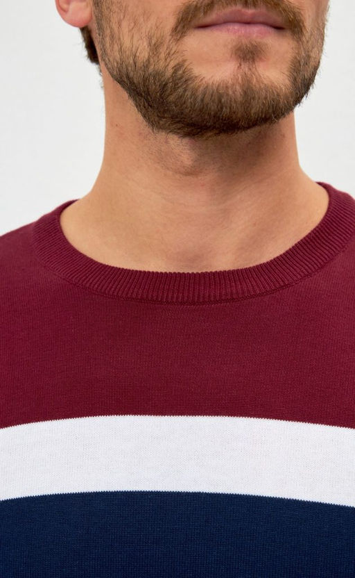 Джемпер мужской в полоску P321-15879 сине-бордовый - Primm фото 4