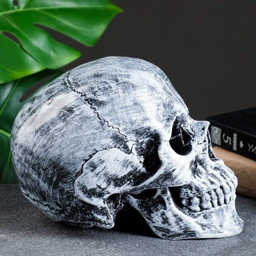 Копилка для денег «Череп», полистоун, 16×13×22 см