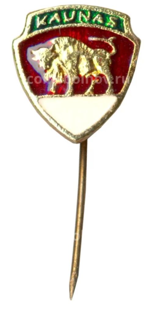 Значок Каунас