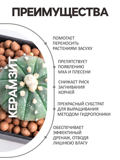 Цена за 2 шт. Дренаж Керамзит «Рецепты Дедушки Никиты» фр 10-20, 1 л