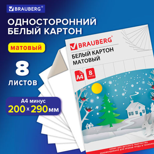 Картон белый А4 немелованный (матовый), 8 листов, в папке, BRAUBERG, 200х290 мм, "Сказочный домик"