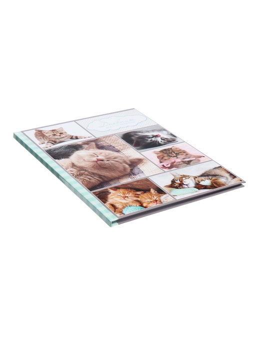 Цена за 2 шт. Дневник универсальный для 1-11 классов, «Котята», твердая обложка 7БЦ, глянцевая ламинация, 40 листов