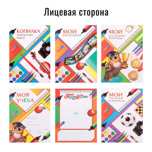 Папка школьная на кольцах «Портфолио школьника», 6 листов-разделителей, 24.5×32 см