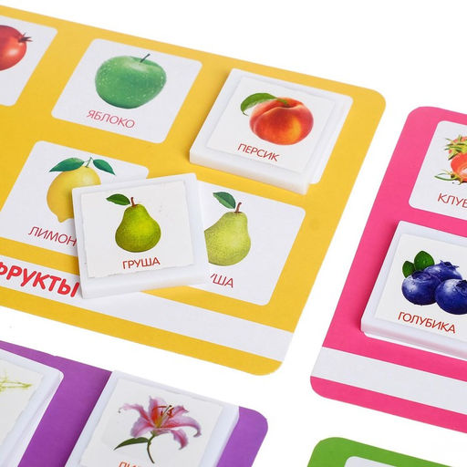 Лото Растительный мир по методике Г. Домана - Лас играс kids фото 3