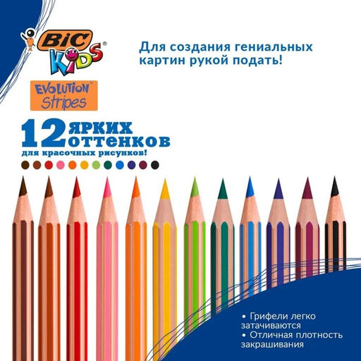 Карандаши цветные 12 цветов, BIC «Kids Evolution Stripes», пластиковые, детские