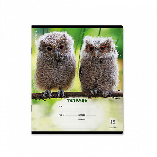 Цена за 10 шт. Тетрадь школьная ученическая ErichKrause Пушистики, 18 листов, линейка (в плёнке по 10 шт.)_MIX-PACK  фото 5