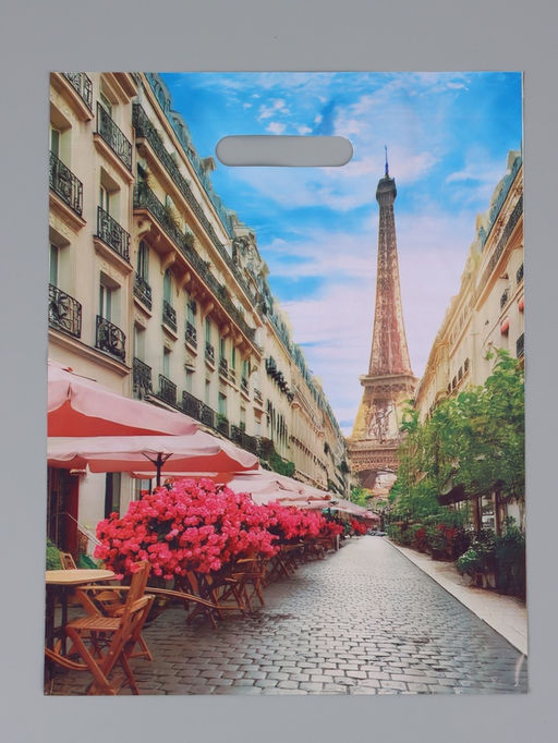 Цена за 50 шт. Пакет "Париж", полиэтиленовый с вырубной ручкой, 31 х 40 см, 60 мкм