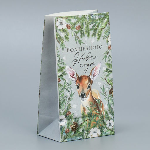 Цена за 10 шт. Пакет подарочный без ручек Волшебного Нового года, 10?19.5?7 см