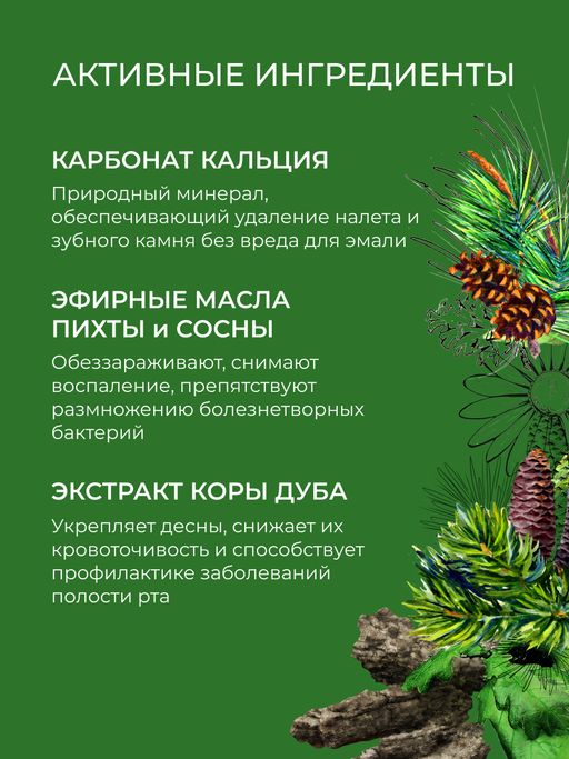 Зубная паста укрепляющая Хвойная - Siberina фото 5