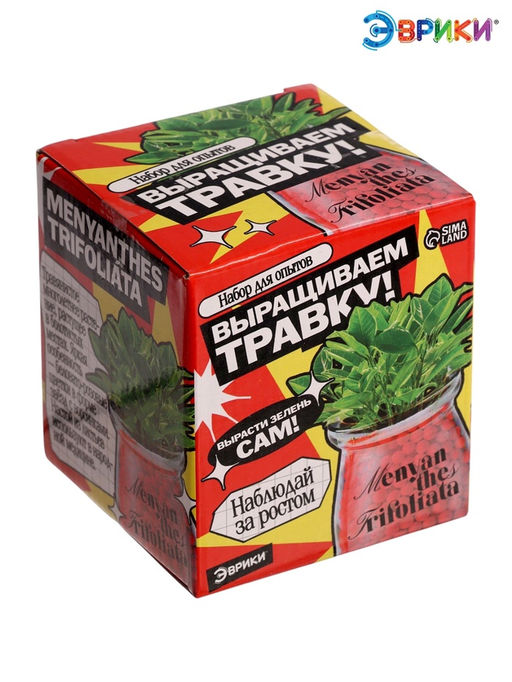 Набор для опытов Выращиваем травку своими руками, красный - Эврики фото 5