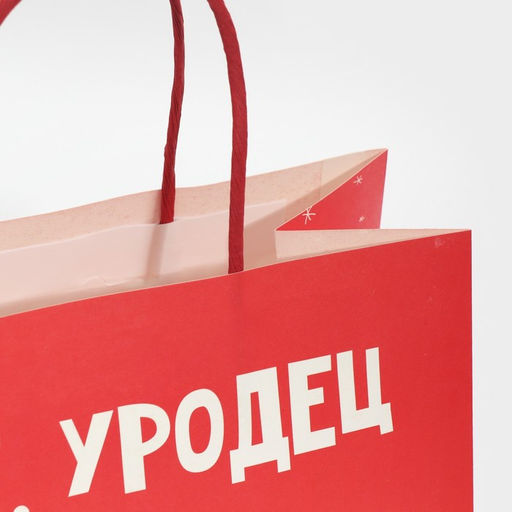 Пакет подарочный Уродец, 22 22 11 см - Дарите счастье фото 4