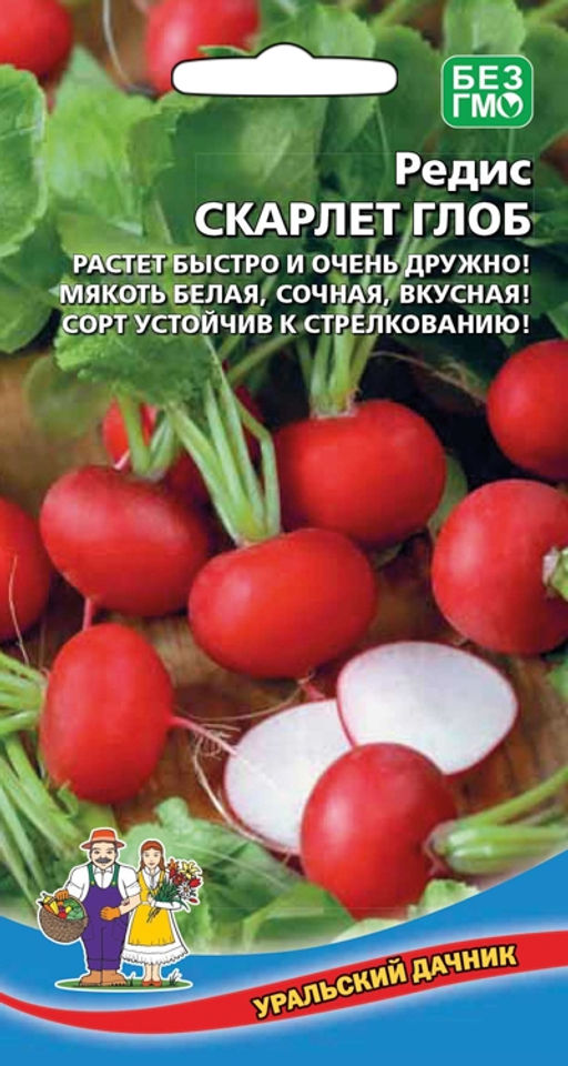 Редис СКАРЛЕТ ГЛОБ Растёт быстро и очень дружно! Мякоть белая, сочная, вкусная! Сорт устойчив к стрелкованию!