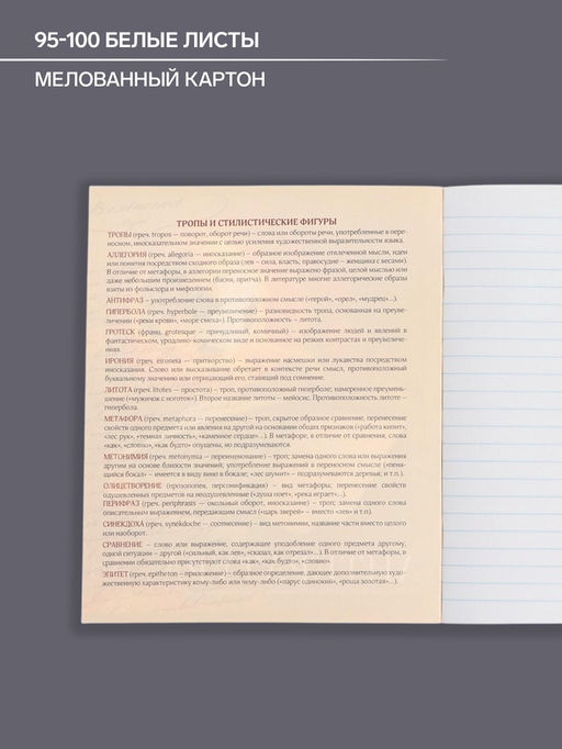 Тетрадь предметная Доска, 48 листов в линейку Литература, обложка мелованный картон, блок офсет - Calligrata фото 6