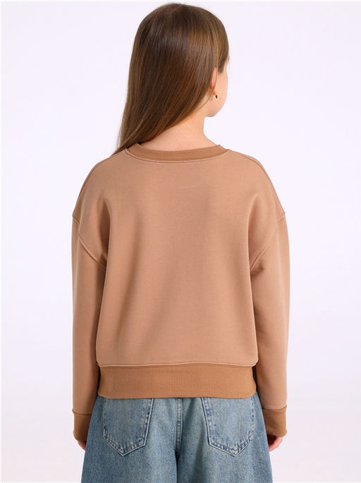 Свитшот 1ДДСД4736335