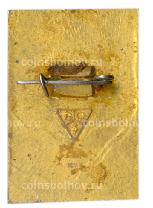 Значок Владимир