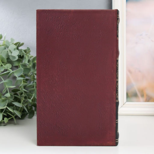 Шкатулка книга-сейф Notre-Dame De Paris, дерево, искусственная кожа, 21×13×5 см