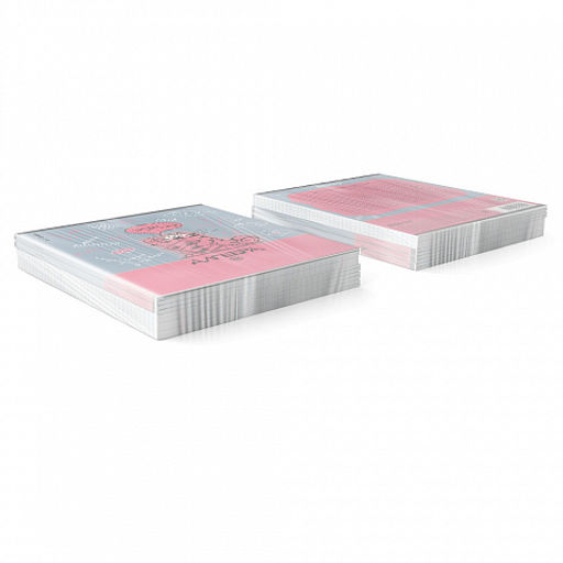 Цена за 5 шт. Тетрадь общая ученическая с пластиковой обложкой на скобе ErichKrause Котоформулы, Алгебра, 48 листов, клетка  фото 3