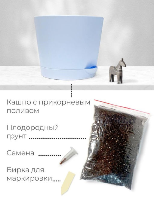 Набор д/выращивания "Магия цветов", "Литопсы микс (живые камни)"